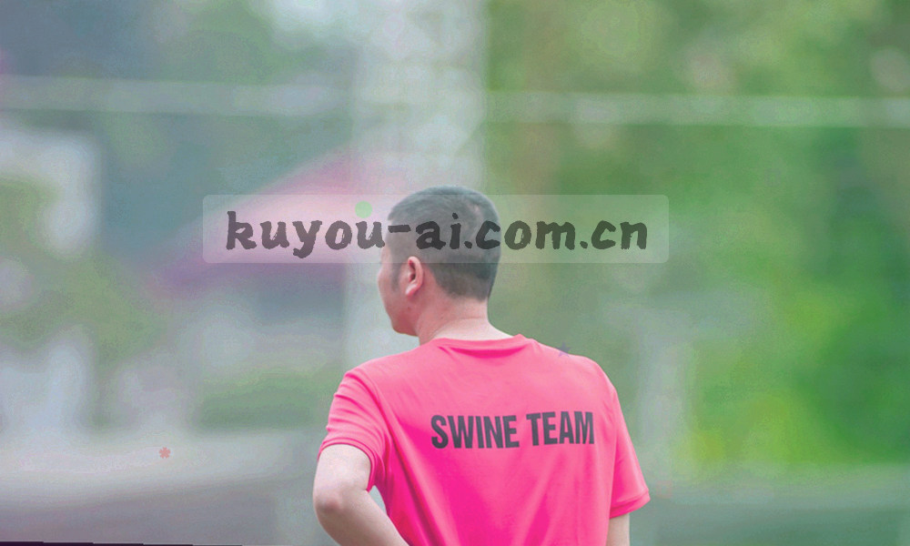 价格说明与服务流程拆成两步的流程图